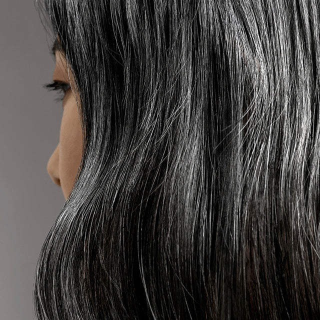 Silverati Shampoo Image thumbnail