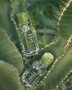 Desertland Eau de Parfum
