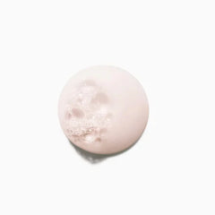Chroma Absolu Respect Fine Hair Shampoo
