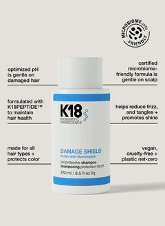 Damage Shield pH Protective Shampoo 250mL