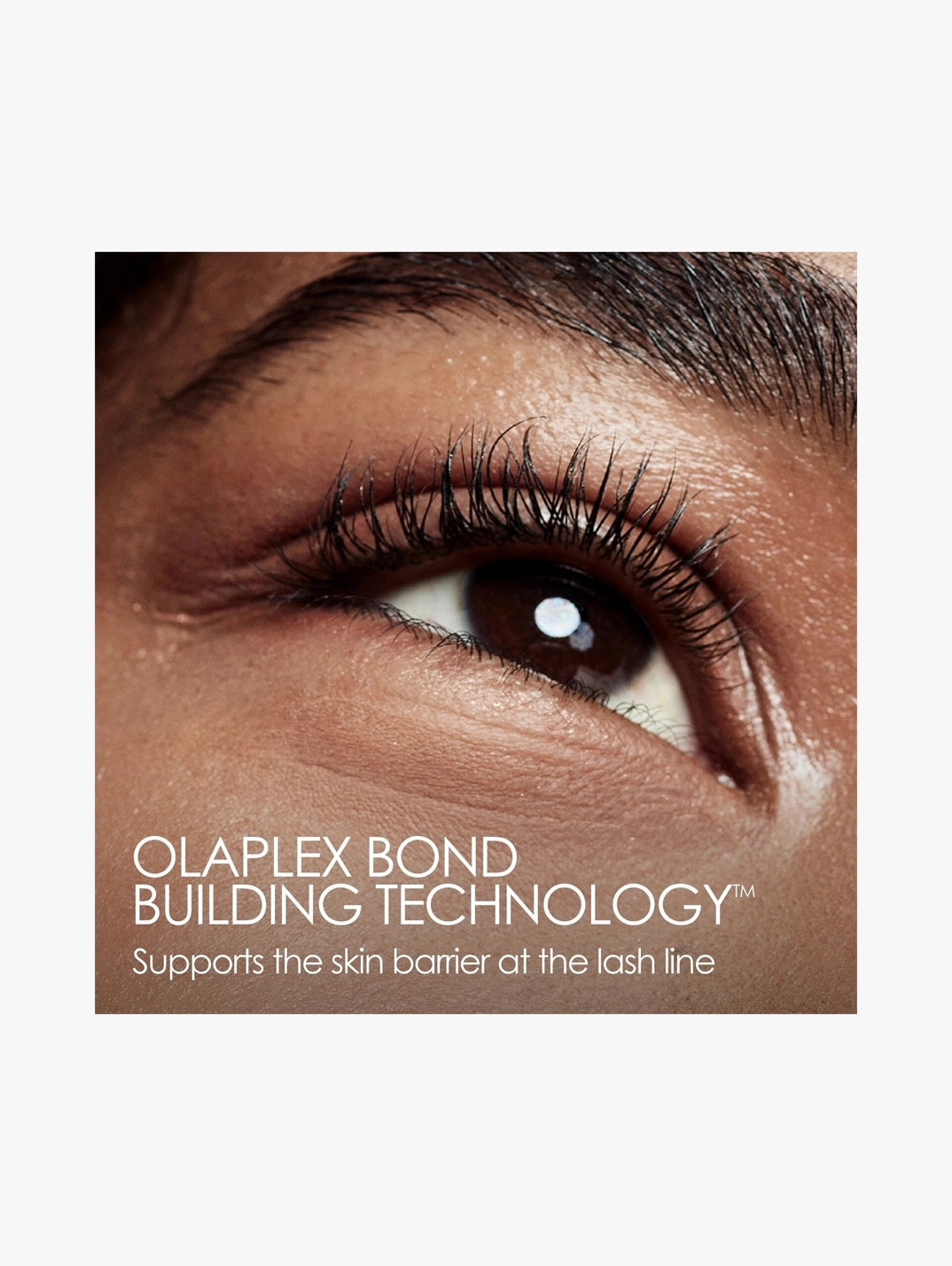 Lashbond Building Serum