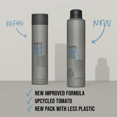 HairStay Working Spray 300mL