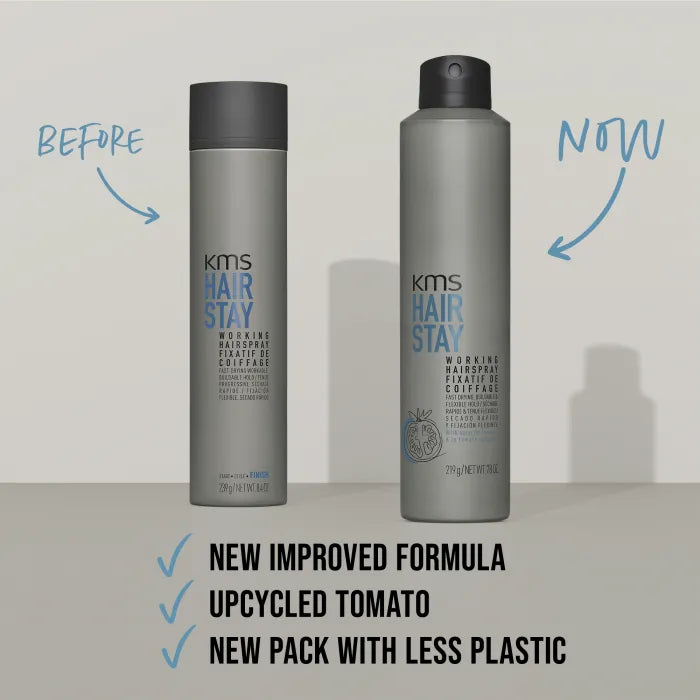 HairStay Working Spray Image