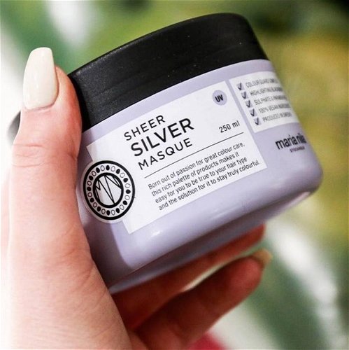 Sheer Silver Masque Image thumbnail