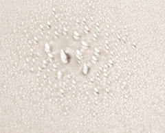 Serene Scalp Densifying Treatment Spray