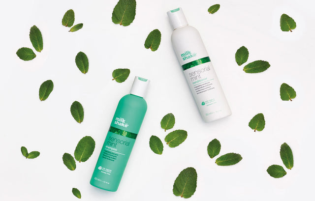 Sensorial Mint Shampoo Image thumbnail