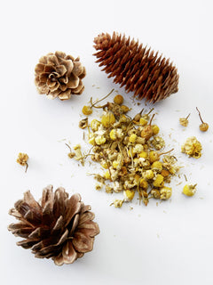 3-in-1 Chamomile + Pine 450mL
