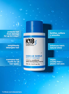 Damage Shield Protective Conditioner 250mL
