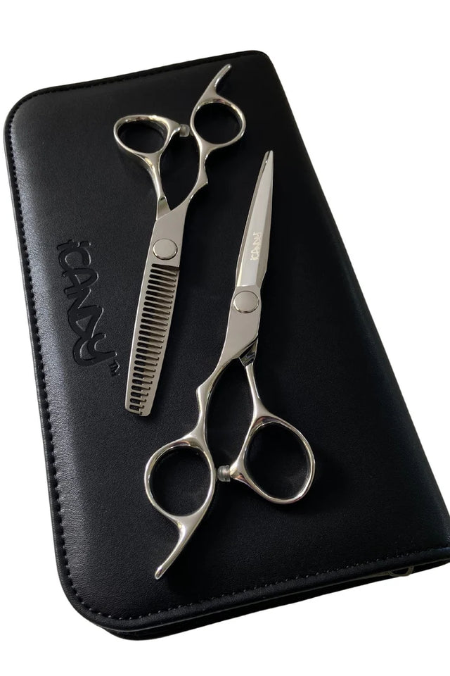 ELECTRO Silver VG10 Scissor & Thinner Bundle 6.0/5.5