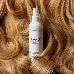 Volumizing Blow Dry Mist 150mL