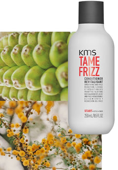 TameFrizz Conditioner