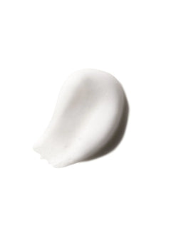 FIBERGROOMINGFOAM-SWATCH.webp